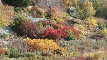 V arboretu Makču Pikču v Pasece můžete obdivovat čtyři tisíce druhů rostlin z celého světa.