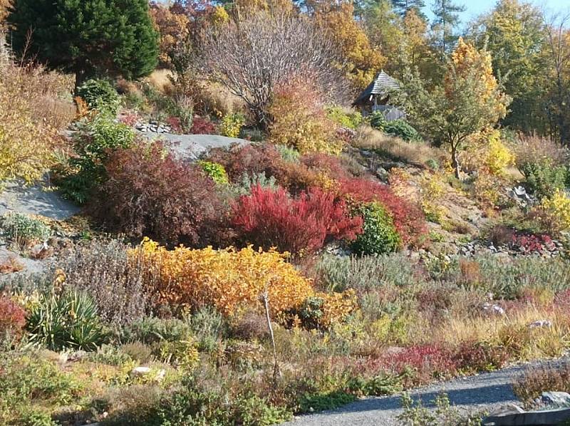 V arboretu Makču Pikču v Pasece můžete obdivovat čtyři tisíce druhů rostlin z celého světa.