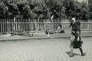 Hladomor na Ukrajině, 1933