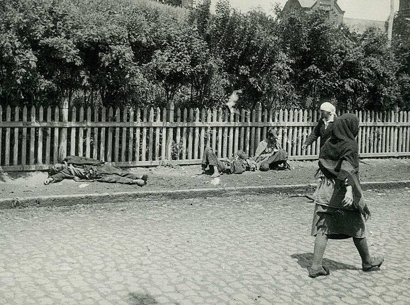 Hladomor na Ukrajině, 1933