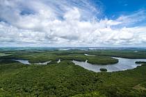 Amazonský deštný prales