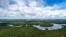 Amazonský deštný prales