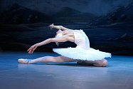 Balet “Labutí jezero” / St.Petersburg Festival Ballet