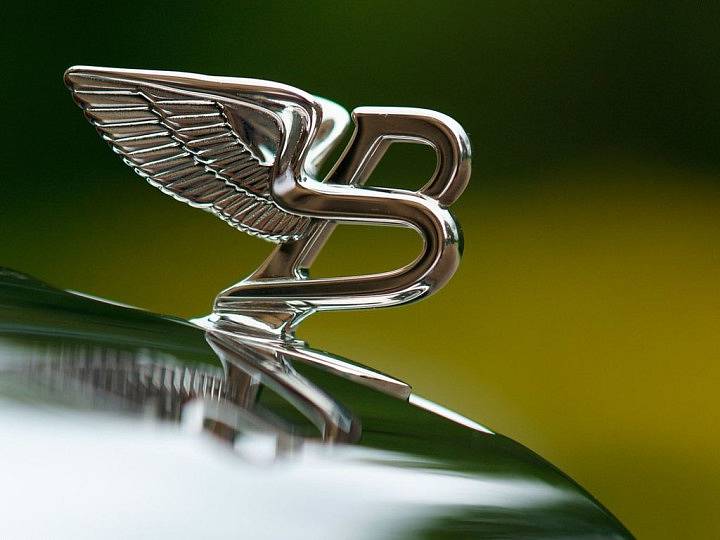 Okřídlené logo Bentley mělo v počátcích za úkol bránit před padělateli, a to počtem perutí na každé straně. W.O. Bentley si tak chtěl pojistit, že zasvěcení vždy poznají pravý automobil značky Bentley.
