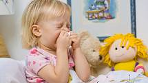 Především děti do dvou let věku mohou prodělat chřipku v závažnější formě, stejně jako populace seniorů.