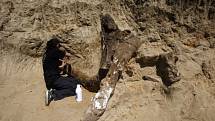 V Makedonii objevili fosílie předka mamuta