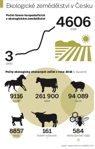 Infografika