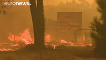 Lesní požár v Portugalsku