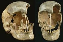 Badatelé zrekonstruovali díky objevené lebky podobu ženy, která před 45 tisíci lety žila na území dnešní České republiky. Má přezdívku Zlatý kůň