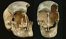 Badatelé zrekonstruovali díky objevené lebky podobu ženy, která před 45 tisíci lety žila na území dnešní České republiky. Má přezdívku Zlatý kůň
