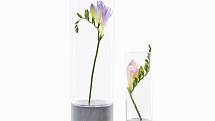 Skleněná konstrukce vázy je vsazená do stabilní podstavy z betonu, jejíž přirozenost nechá chytře vyniknout kouzlu každé květiny.