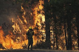 lesní požár, ilustrační foto