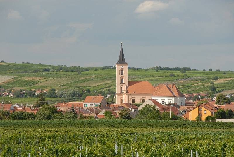 Největší vinařská obec Velké Bílovice