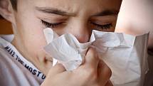 Alergie, zvláště alergická rýma, může mít podobné příznaky jako nachlazení.