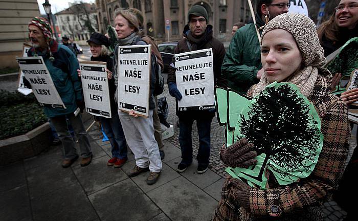 Hnutí Duha pořádalo 19. ledna před Úřadem vlády v Praze demonstraci, na které požadovalo zrušení tendru státních lesů.