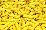 Banány. Ilustrační foto