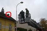 Strážníci městské policie a hasiči sundávali ze střechy domu v Koněvově ulici v příměstské části Mladé Boleslavi - Čejetice psa. Ten se tam zřejmě proboural přes staré tašky.