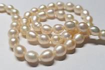 Kanadská šperkařka Amanda Boothová vytváří „perlové“ náhrdelníky z darovaného mužského spermatu. Ilustrační snímek