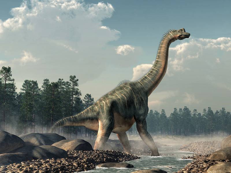 Sauropodi byli příslušníci skupiny býložravých dinosaurů. Vyznačovali se většinou silně prodlouženým krkem, malou velikostí lebky v poměru k tělu a dlouhým ocasem. Někteří  představují největší známé suchozemské živočichy v historii života na Zemi.