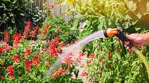 Pro zavlažování zahrady je dešťovka vhodnější než voda z kohoutku.