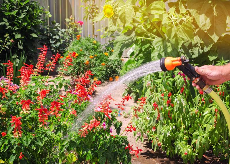 Pro zavlažování zahrady je dešťovka vhodnější než voda z kohoutku.