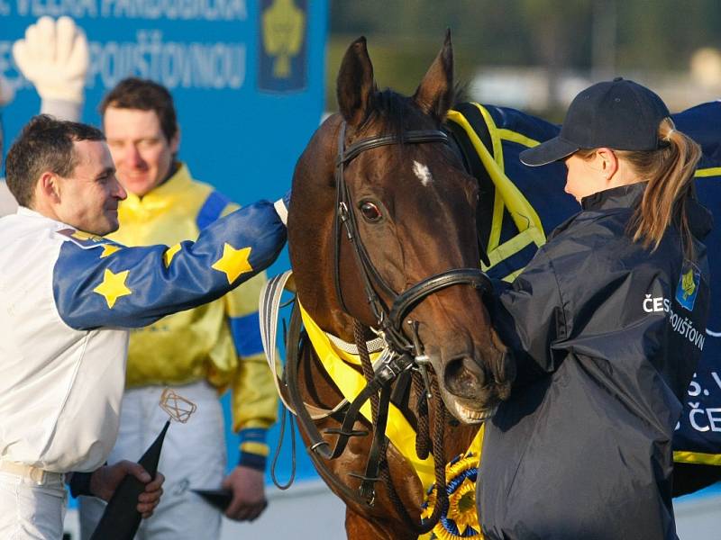 Velká pardubická 2015: Marek Stromský a Nikas