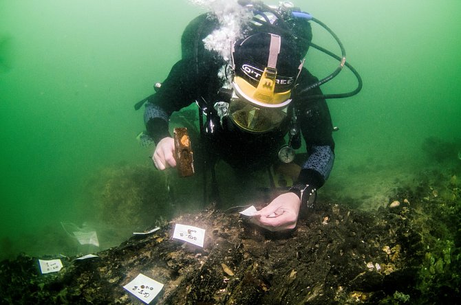 Dřevěná struktura z doby kamenné objevená u ostrůvku Wight