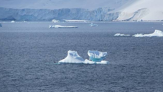 Ledovce Tichého oceánu. Ilustrační snímek