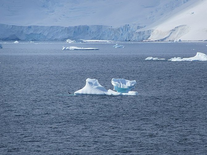 Ledovce Tichého oceánu. Ilustrační snímek