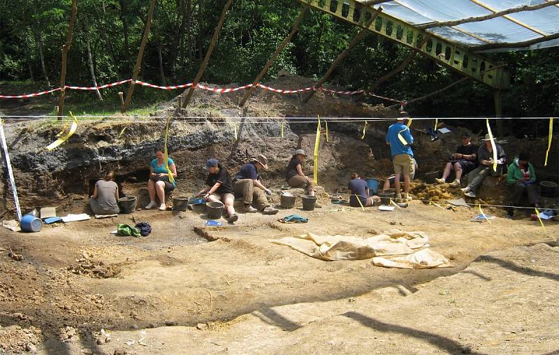 Přes deset milionů let stará zkamenělina nabízí nový pohled na lidskou evoluci