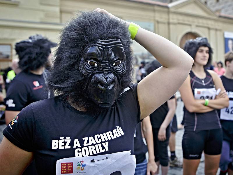 Charitativní akce Běh pro gorily se uskutečnila 15. června v Praze.