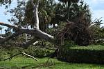 Škody napáchané Irmou; Florida