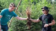 Filip a Richard Brožovi při sázení stromků na Šumavě