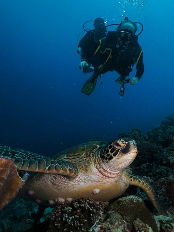 Kromě pořádání expedic Michal Guzi také fotografuje, mimo jiné i život pod vodou