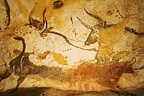 Pravěká malba býka v jeskyni Lascaux ve Francii.