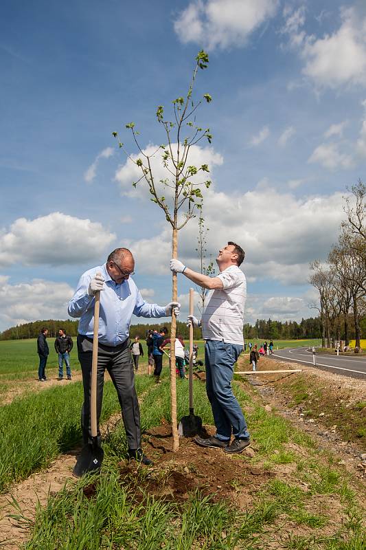 Symbolická výsadba nových stromů v Kočárové aleji proběhla 27. dubna za účasti vedení kraje, Dolnoslezského vojvodství, starostů Frýdlantska a dalších hostů. Na snímku vpravo je hejtman Libereckého kraje Martin Půta.