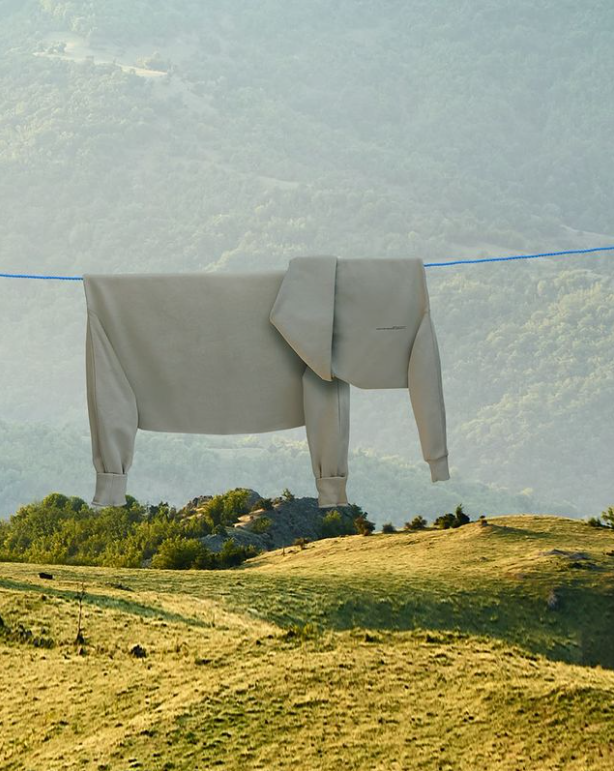Obraz slona na prádelní šňůře prodává za více jak 8 tisíc