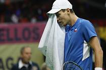 Tomáš Berdych ve finále Davis Cupu proti Davidu Ferrerovi ze Španělska.