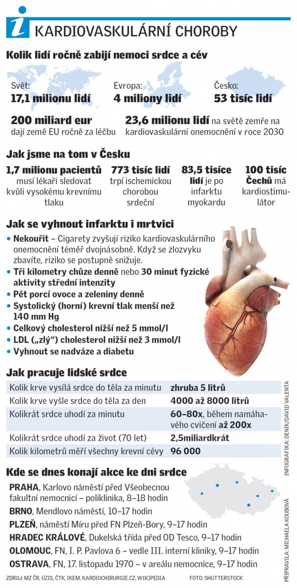 Den srdce: bez řezání jdou už i složité zákroky - Deník.cz