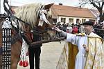 Farář Pavel Römer žehnal 26. prosince 2018 koním v Lanžhotě na Břeclavsku v den svátku svatého Štěpána, který je patronem formanů a chovatelů koní