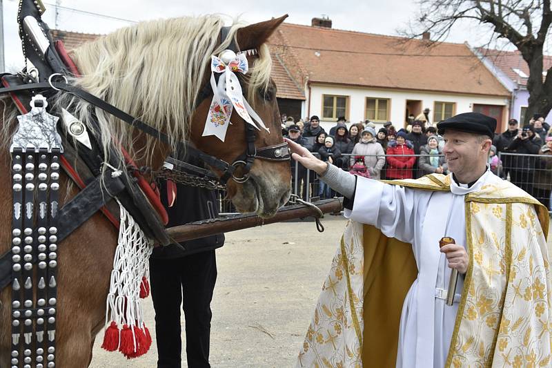 Farář Pavel Römer žehnal 26. prosince 2018 koním v Lanžhotě na Břeclavsku v den svátku svatého Štěpána, který je patronem formanů a chovatelů koní
