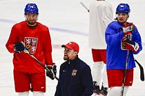 Filip Pešán (uprostřed) na tréninku hokejové reprezentace na ZOH v Pekingu.