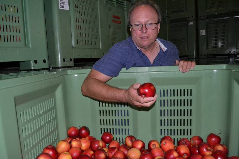 Chytré třídění jablek v Žernově