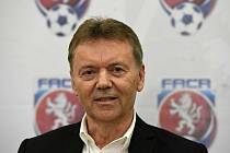 Bývalý místopředseda Fotbalové asociace ČR Roman Berbr