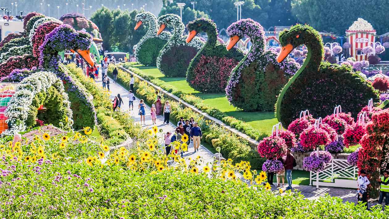 Oslňující nádhera. Obří postavy v barevné zahradě v Dubaji tvoří miliony květin
