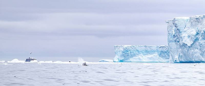 Ledová kra A68 čtyři roky putovala Atlantickým oceánem.