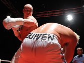 Ondřej Pála porazil v zápase o mistrovský pás organizace WBA (PABA) v supertěžké váhové kategorii Nizozemce Duivena.