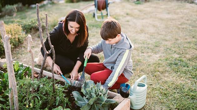 Děti vždy ocení rostliny, které se svým celkovým vzhledem nebo vzhledem svých plodů liší od těch běžně dostupných.