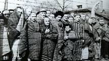 Vězňové Osvětimi v lednu 1945 po osvobození tábora Rudou armádou