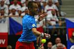 Lukáš Rosol ve čtvrtfinále Davis Cupu proti Francii.